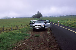 Ford Expedition on Saddle Road